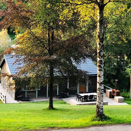 Fwv Chalet 2 Le Scandinave 比林根 外观 照片