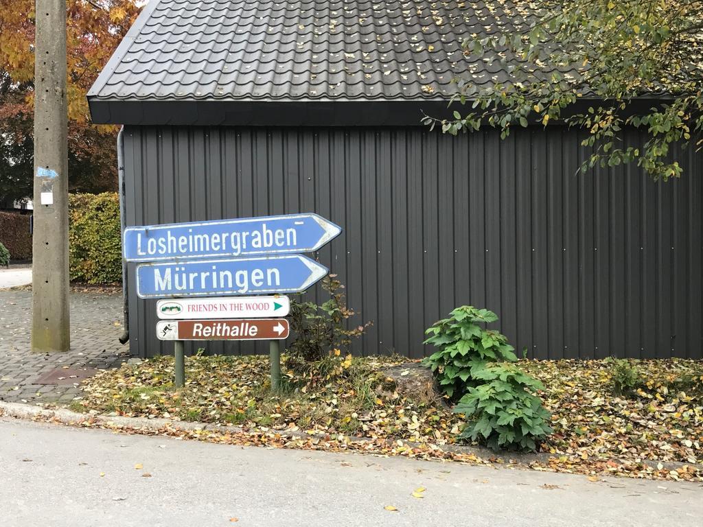 Fwv Chalet 2 Le Scandinave 比林根 外观 照片