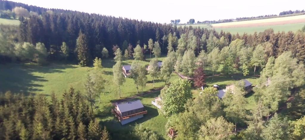 Fwv Chalet 2 Le Scandinave 比林根 外观 照片