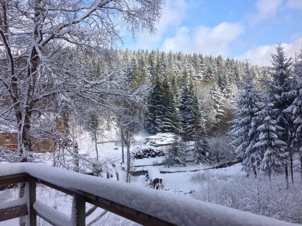 Fwv Chalet 2 Le Scandinave 比林根 外观 照片