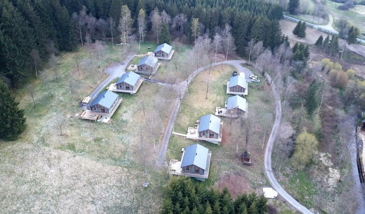 Fwv Chalet 2 Le Scandinave 比林根 外观 照片