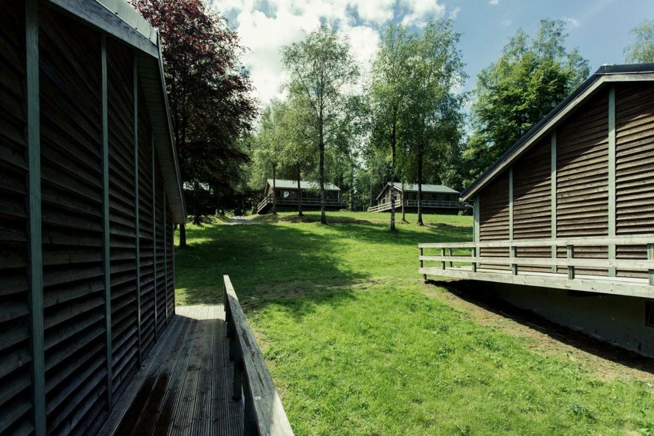 Fwv Chalet 2 Le Scandinave 比林根 外观 照片