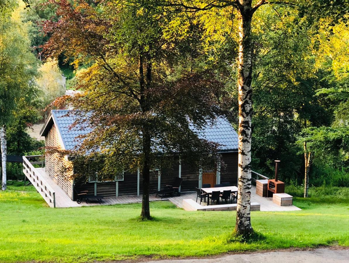 Fwv Chalet 2 Le Scandinave 比林根 外观 照片